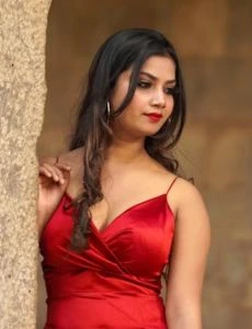 call girl service in Alok Nagar